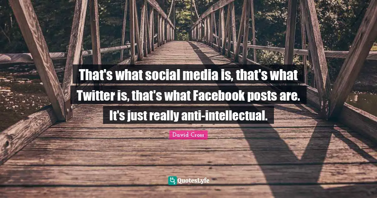 That's what social media is, that's what Twitter is, that's what Facebook posts are. It's just really anti-intellectual.
