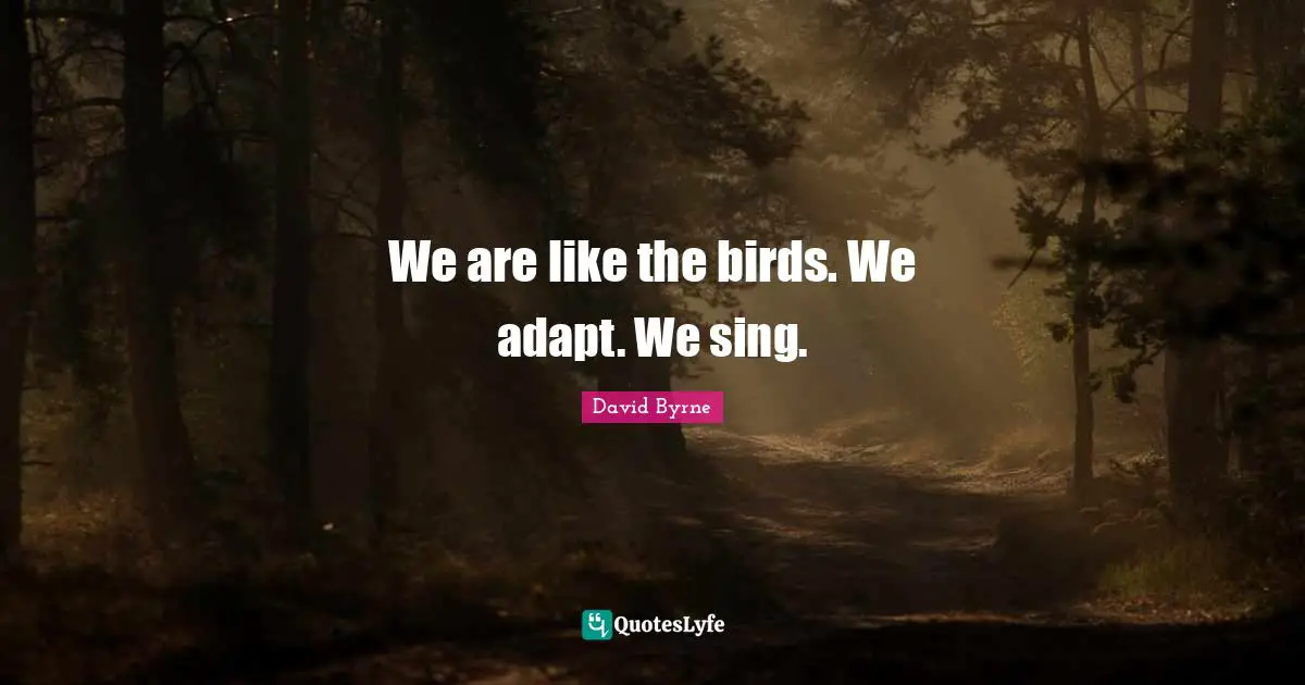 We are like the birds. We adapt. We sing.