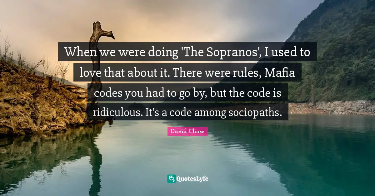 When we were doing 'The Sopranos', I used to love that about it. There were rules, Mafia codes you had to go by, but the code is ridiculous. It's a code among sociopaths.