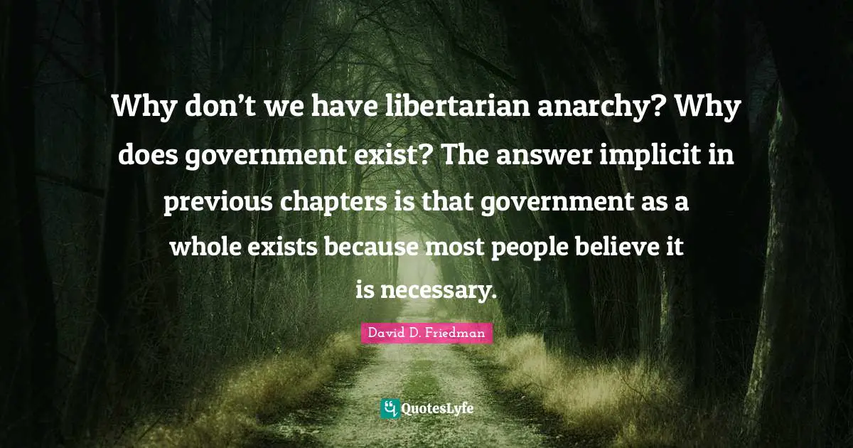 Why don’t we have libertarian anarchy? Why does government exist? The answer implicit in previous chapters is that government as a whole exists because most people believe it is necessary.