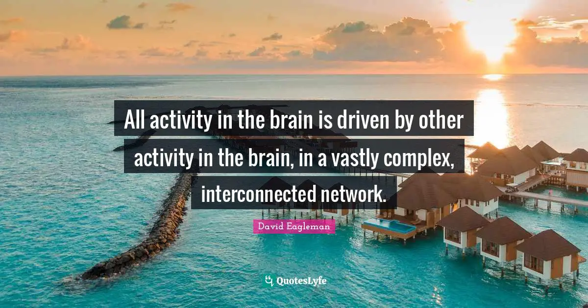 All activity in the brain is driven by other activity in the brain, in a vastly complex, interconnected network.