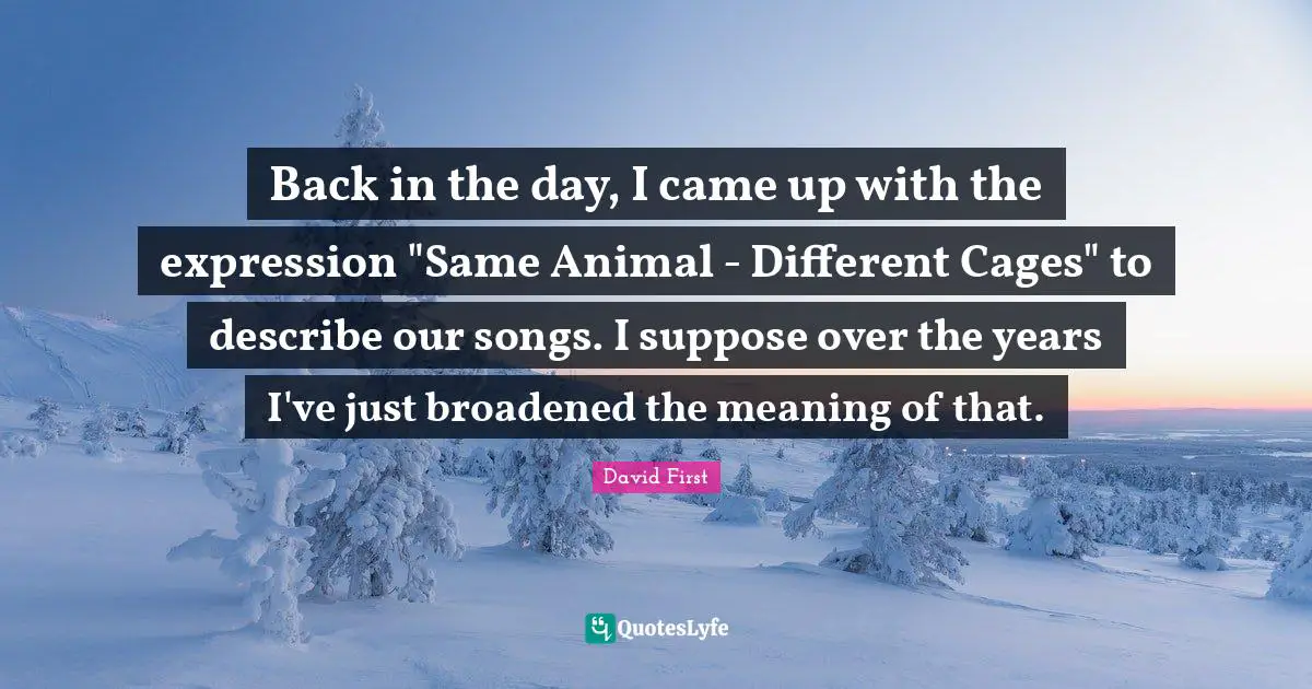 Back in the day, I came up with the expression "Same Animal - Different Cages" to describe our songs. I suppose over the years I've just broadened the meaning of that.