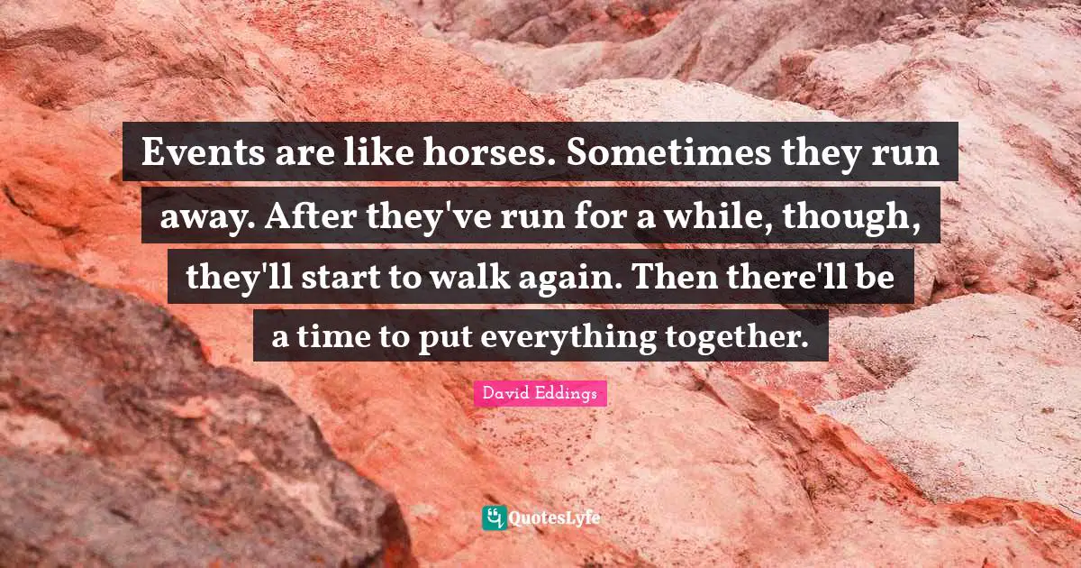 Events are like horses. Sometimes they run away. After they've run for a while, though, they'll start to walk again. Then there'll be a time to put everything together.