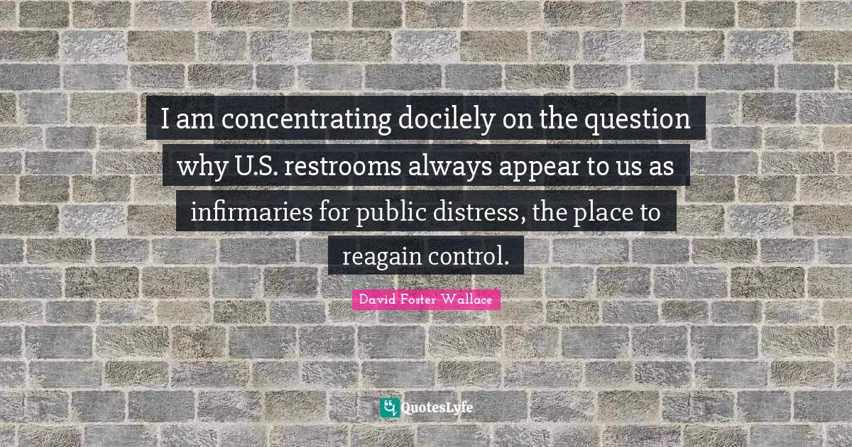 I am concentrating docilely on the question why U.S. restrooms always appear to us as infirmaries for public distress, the place to reagain control.