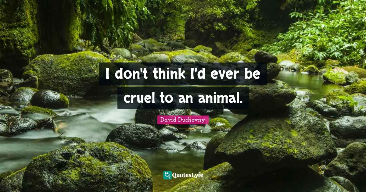 I don't think I'd ever be cruel to an animal.