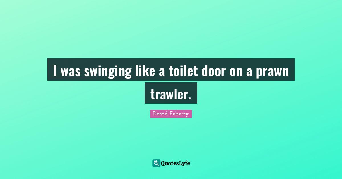 I was swinging like a toilet door on a prawn trawler.... Quote by David