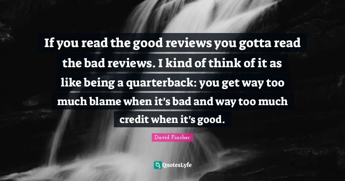 If you read the good reviews you gotta read the bad reviews. I kind of think of it as like being a quarterback: you get way too much blame when it's bad and way too much credit when it's good.