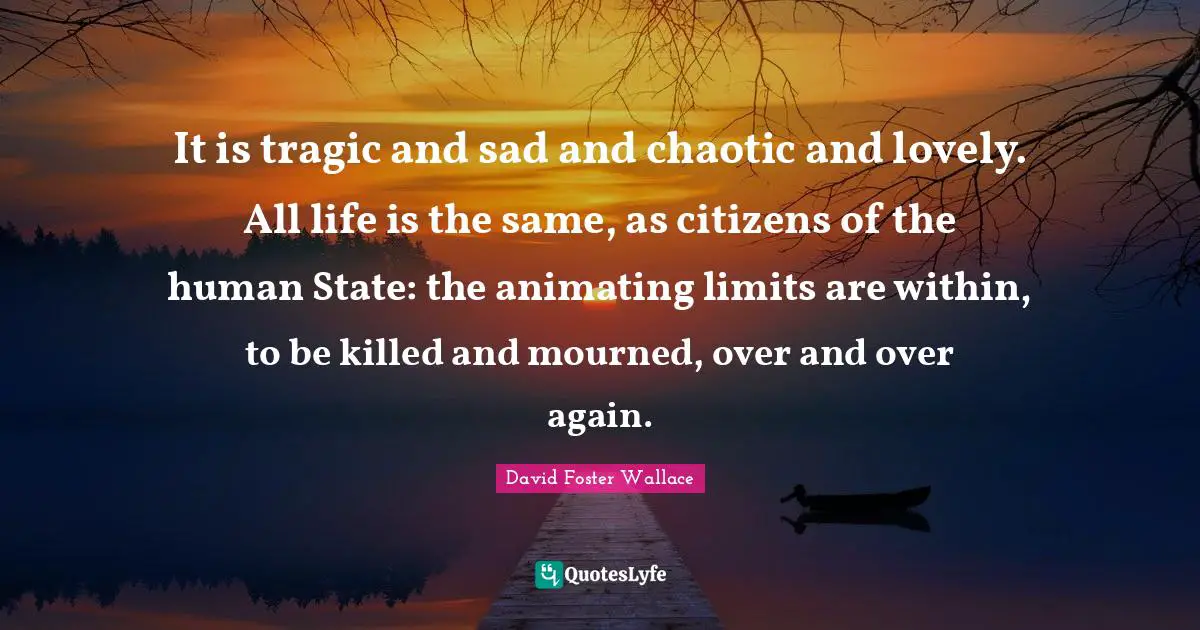 It is tragic and sad and chaotic and lovely. All life is the same, as citizens of the human State: the animating limits are within, to be killed and mourned, over and over again.