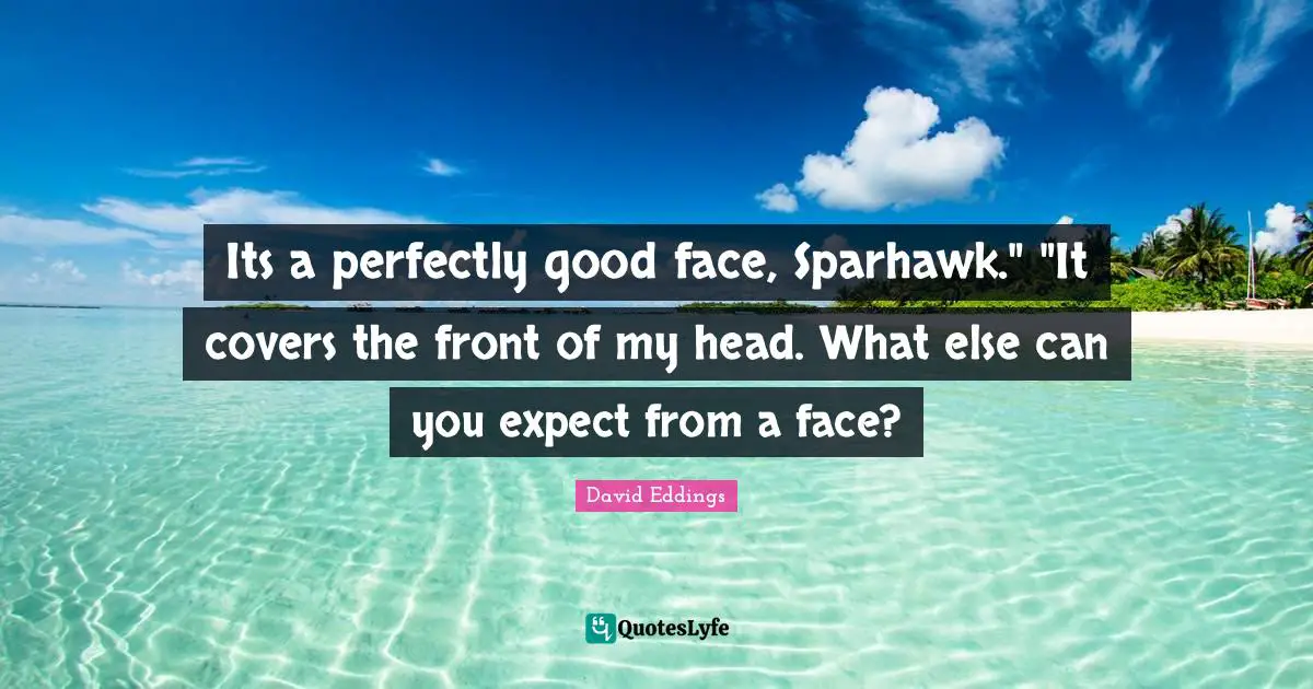 Perfectly Good Quotes: "Its a perfectly good face, Sparhawk." "It covers the front of my head. What else can you expect from a face?"