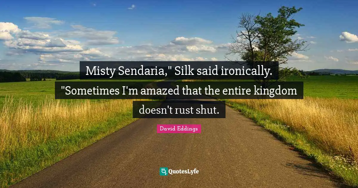 Misty Sendaria," Silk said ironically. "Sometimes I'm amazed that the entire kingdom doesn't rust shut.