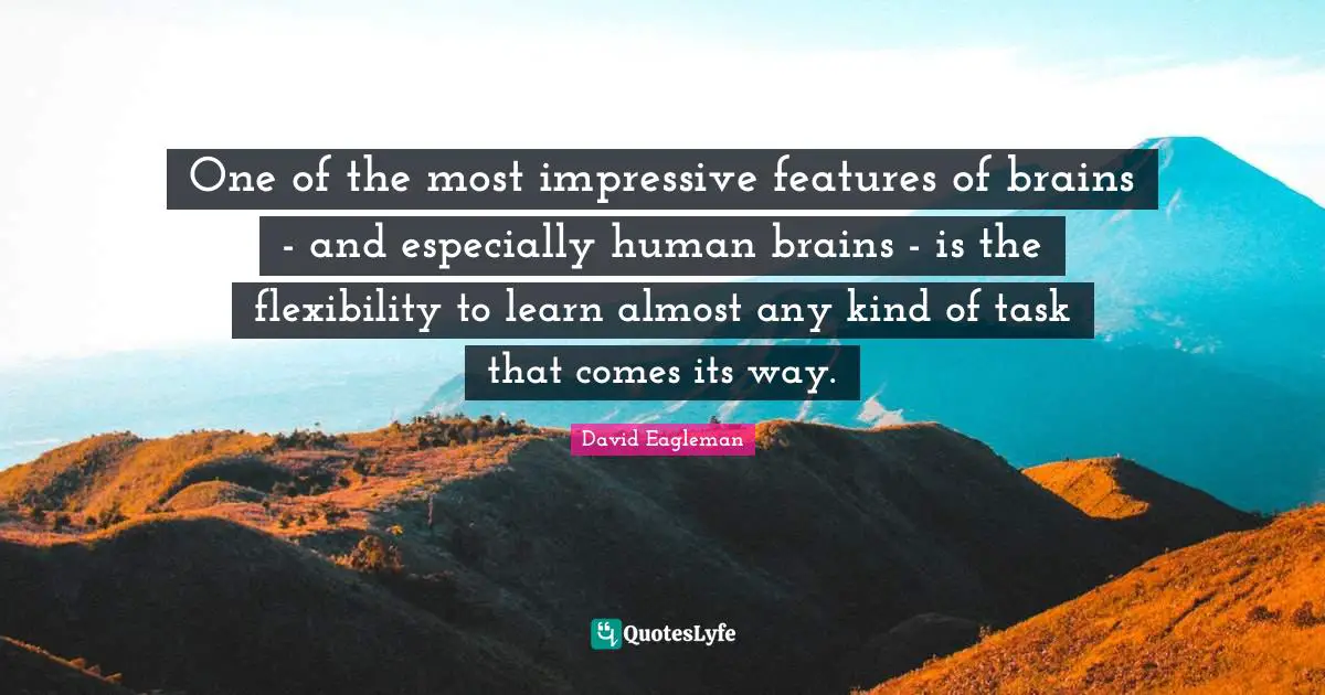 One of the most impressive features of brains - and especially human brains - is the flexibility to learn almost any kind of task that comes its way.