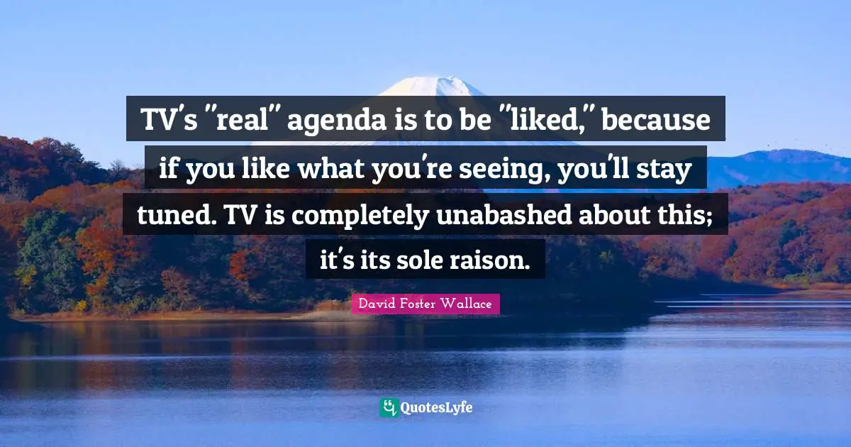 TV's "real" agenda is to be "liked," because if you like what you're seeing, you'll stay tuned. TV is completely unabashed about this; it's its sole raison.