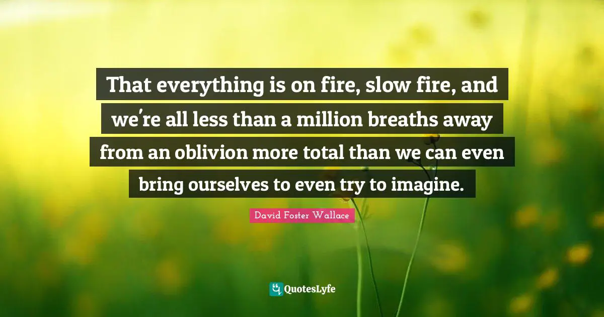 That everything is on fire, slow fire, and we're all less than a million breaths away from an oblivion more total than we can even bring ourselves to even try to imagine.