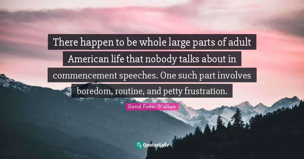 There happen to be whole large parts of adult American life that nobody talks about in commencement speeches. One such part involves boredom, routine, and petty frustration.