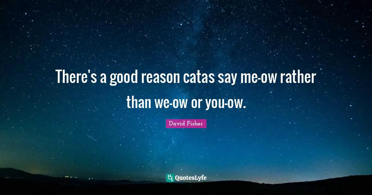 There's a good reason catas say me-ow rather than we-ow or you-ow.