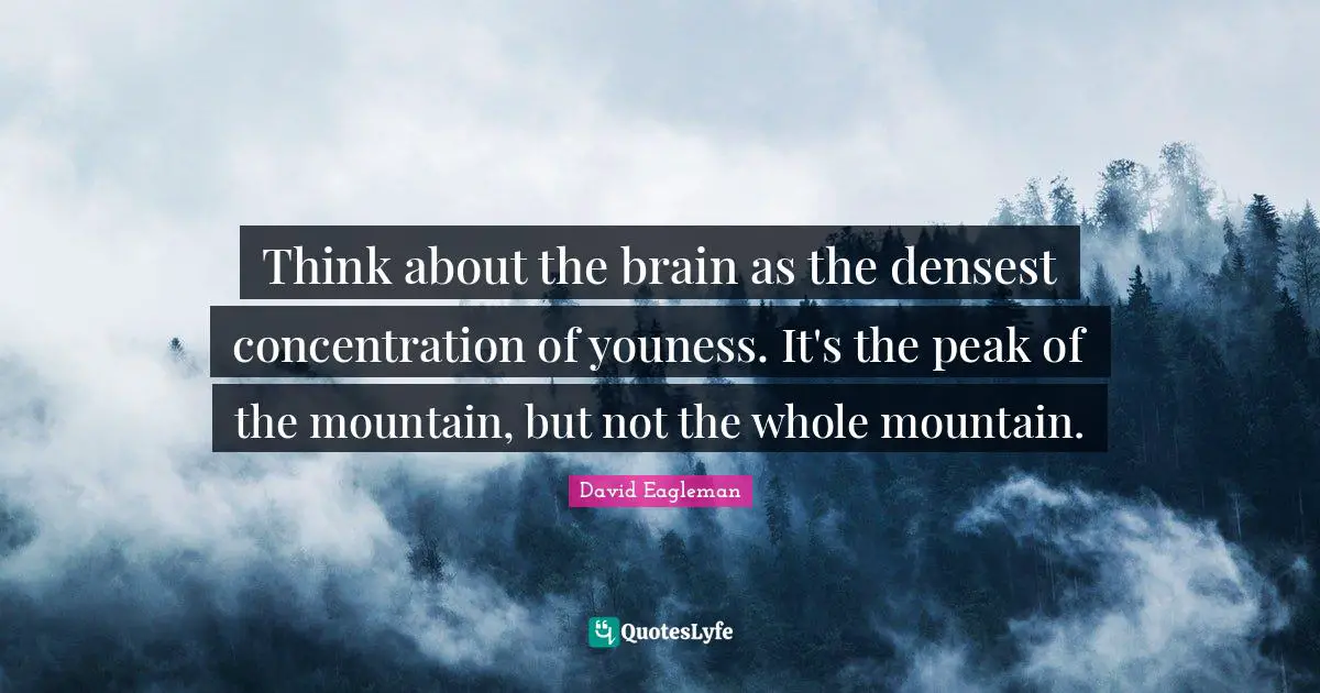 Think about the brain as the densest concentration of youness. It's the peak of the mountain, but not the whole mountain.