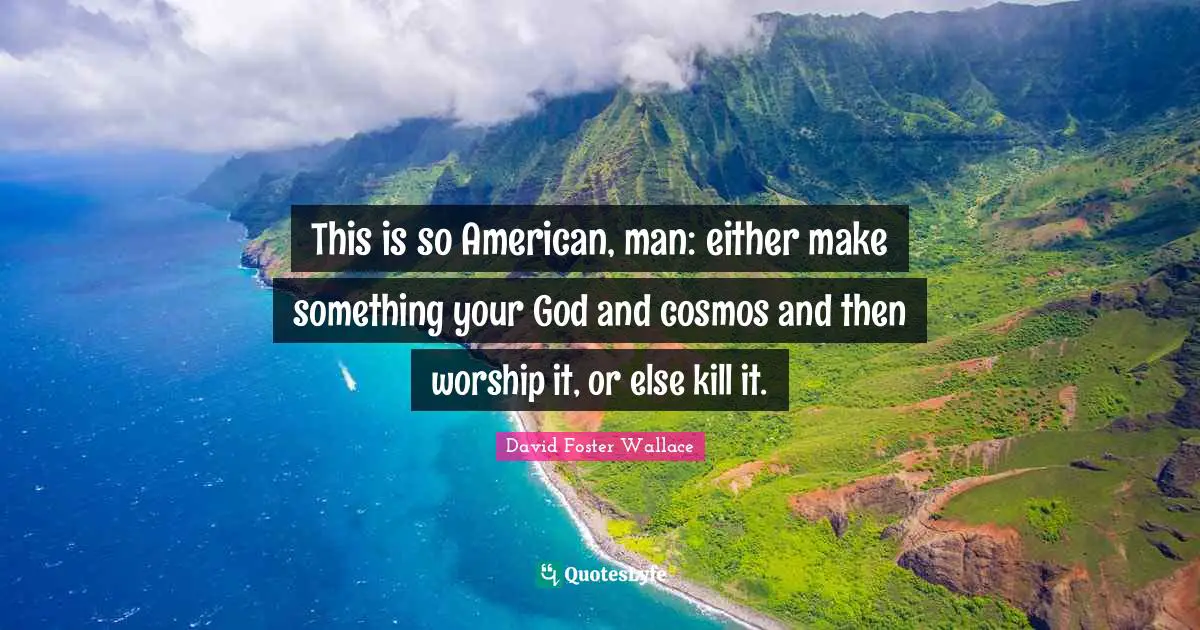 This is so American, man: either make something your God and cosmos and then worship it, or else kill it.