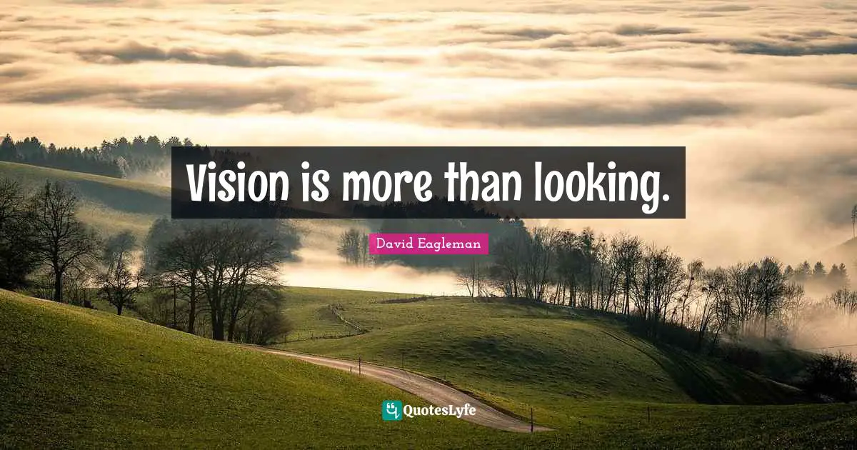 Vision is more than looking.