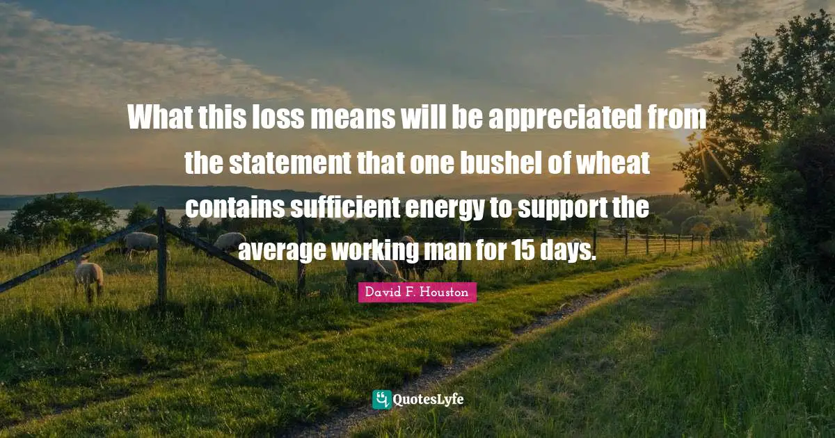 What this loss means will be appreciated from the statement that one bushel of wheat contains sufficient energy to support the average working man for 15 days.