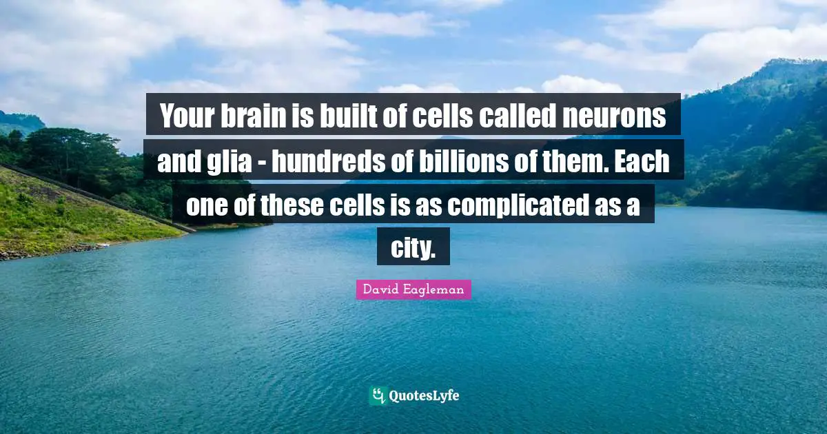Your brain is built of cells called neurons and glia - hundreds of billions of them. Each one of these cells is as complicated as a city.