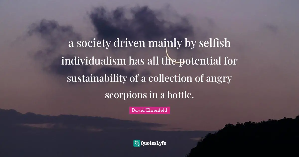 a society driven mainly by selfish individualism has all the potential for sustainability of a collection of angry scorpions in a bottle.