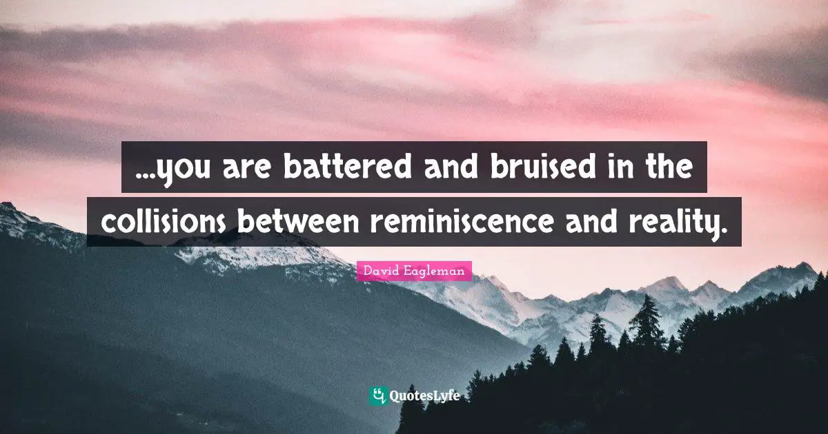 ...you are battered and bruised in the collisions between reminiscence and reality.