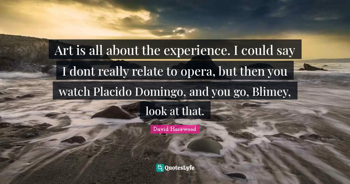 Art is all about the experience. I could say I dont really relate to opera, but then you watch Placido Domingo, and you go, Blimey, look at that.