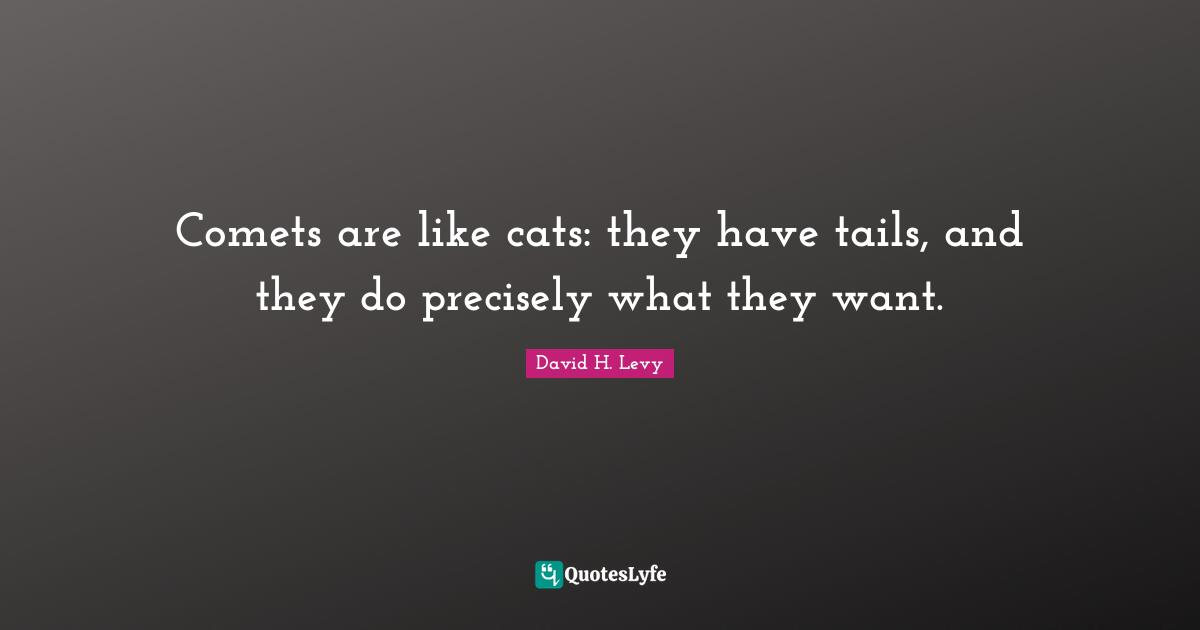Comets are like cats: they have tails, and they do precisely what they want.