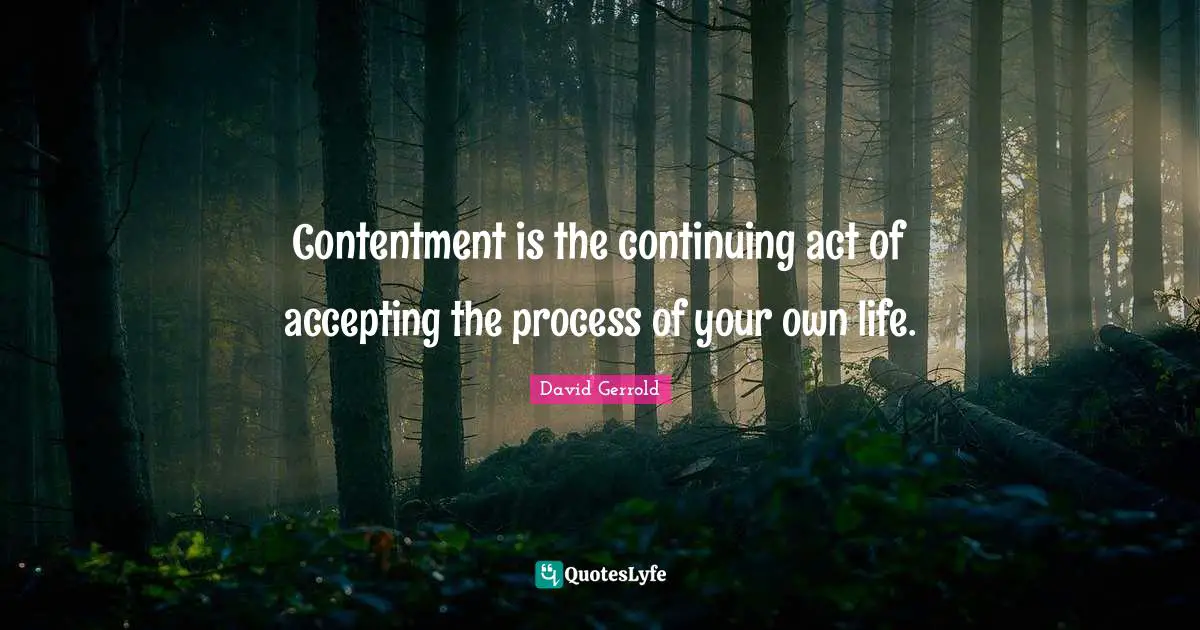 Contentment is the continuing act of accepting the process of your own life.