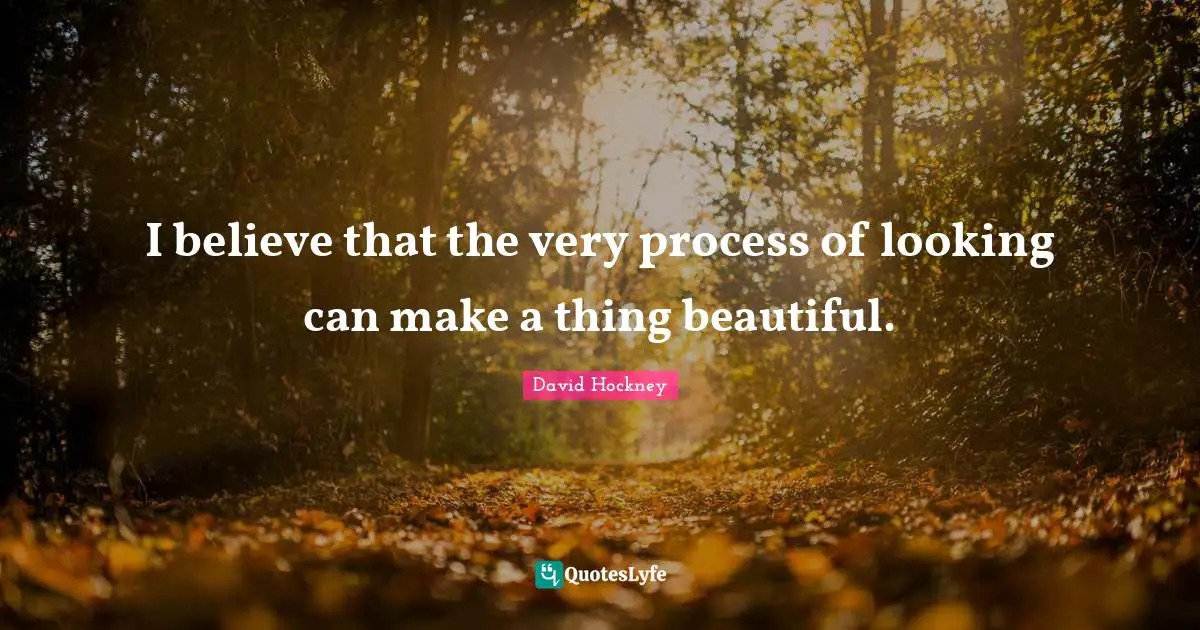 I believe that the very process of looking can make a thing beautiful.