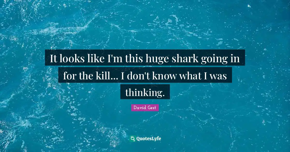 It looks like I'm this huge shark going in for the kill... I don't know what I was thinking.