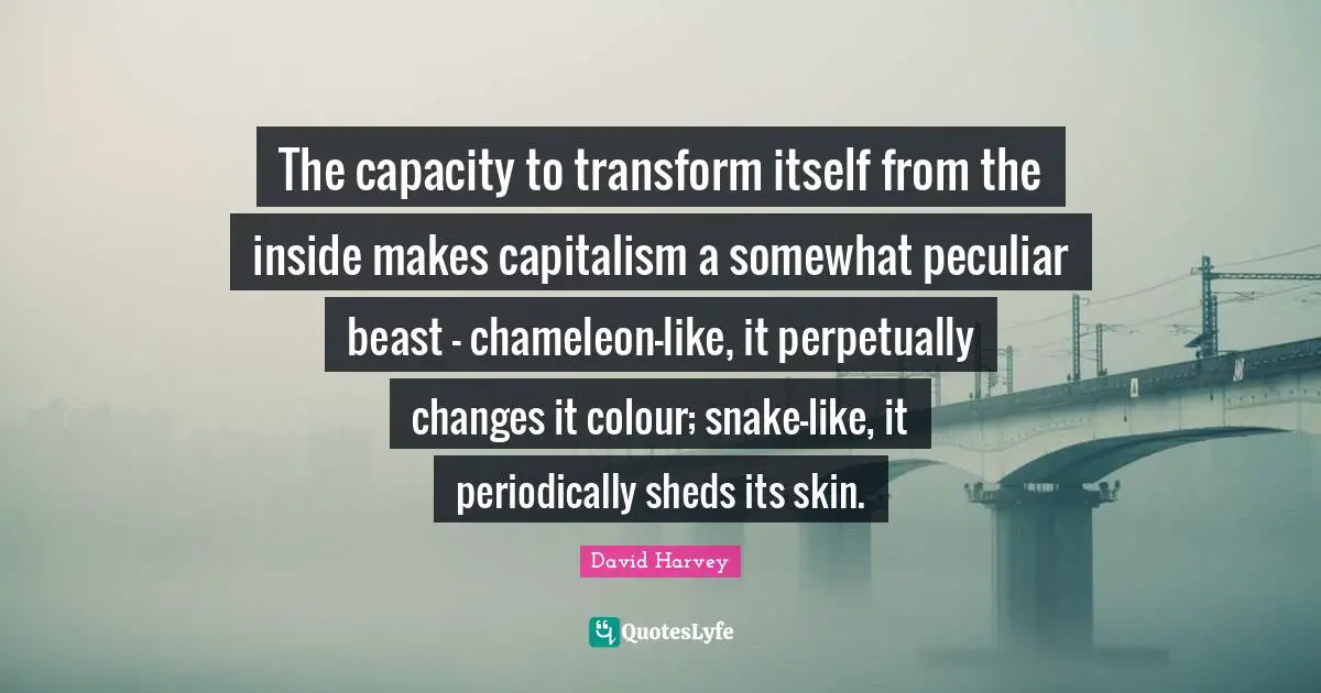 The capacity to transform itself from the inside makes capitalism a somewhat peculiar beast - chameleon-like, it perpetually changes it colour; snake-like, it periodically sheds its skin.