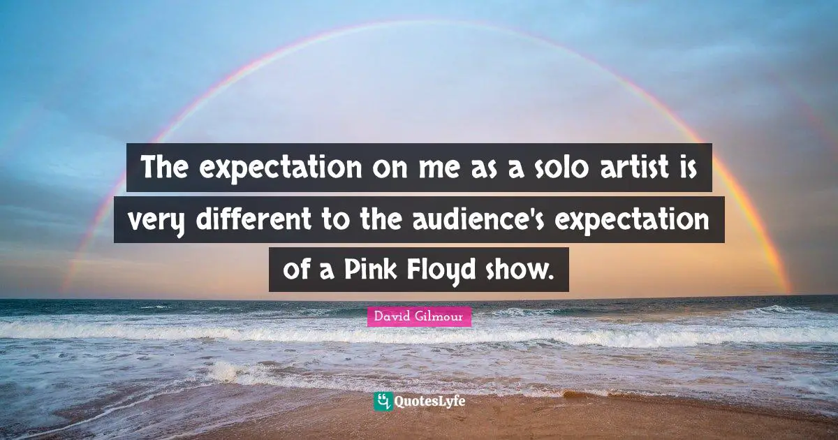 The expectation on me as a solo artist is very different to the audience's expectation of a Pink Floyd show.