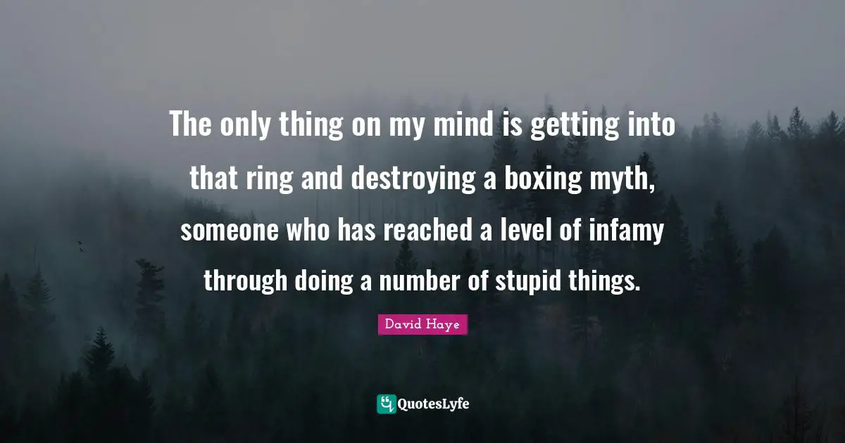 The only thing on my mind is getting into that ring and destroying a boxing myth, someone who has reached a level of infamy through doing a number of stupid things.