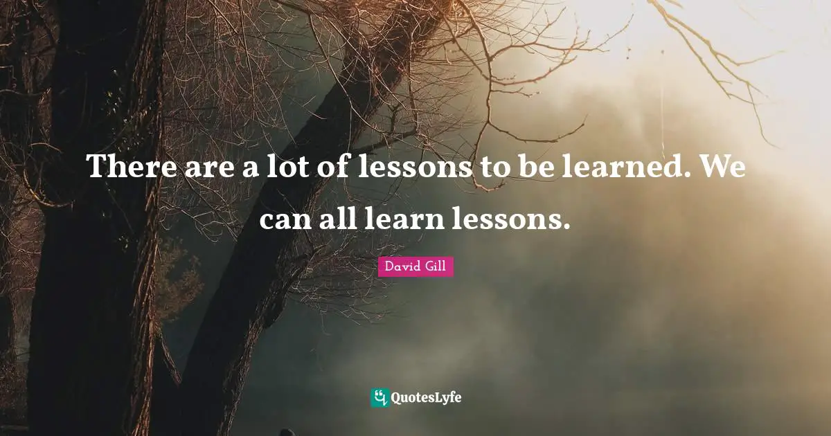 David Gill Quotes: "There are a lot of lessons to be learned. We can all learn lessons."