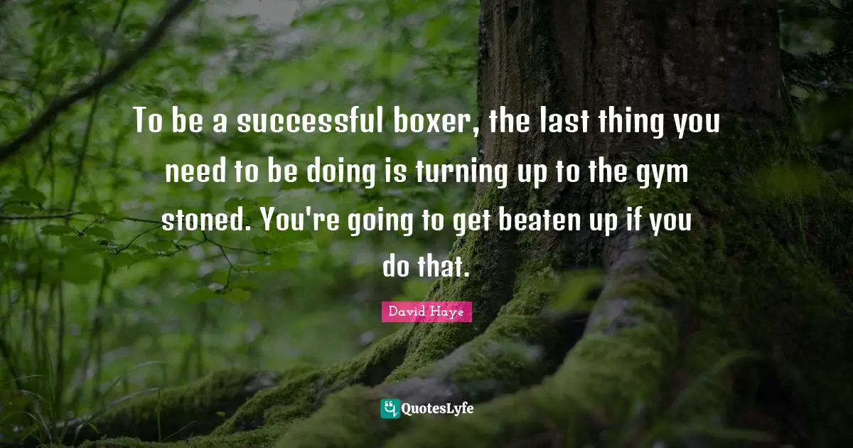David Haye Quotes: "To be a successful boxer, the last thing you need to be doing is turning up to the gym stoned. You're going to get beaten up if you do that."