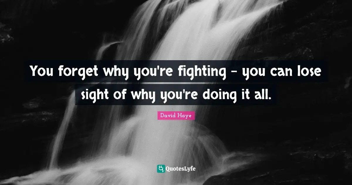 David Haye Quotes: "You forget why you're fighting - you can lose sight of why you're doing it all."