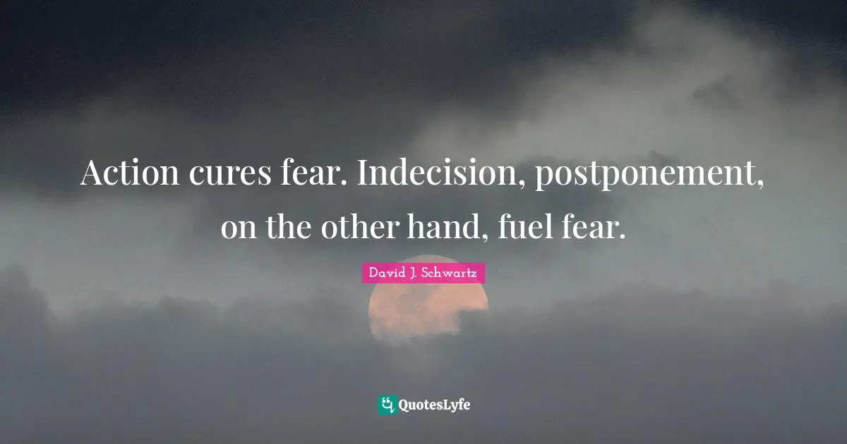 David J Quotes: "Action cures fear. Indecision, postponement, on the other hand, fuel fear."