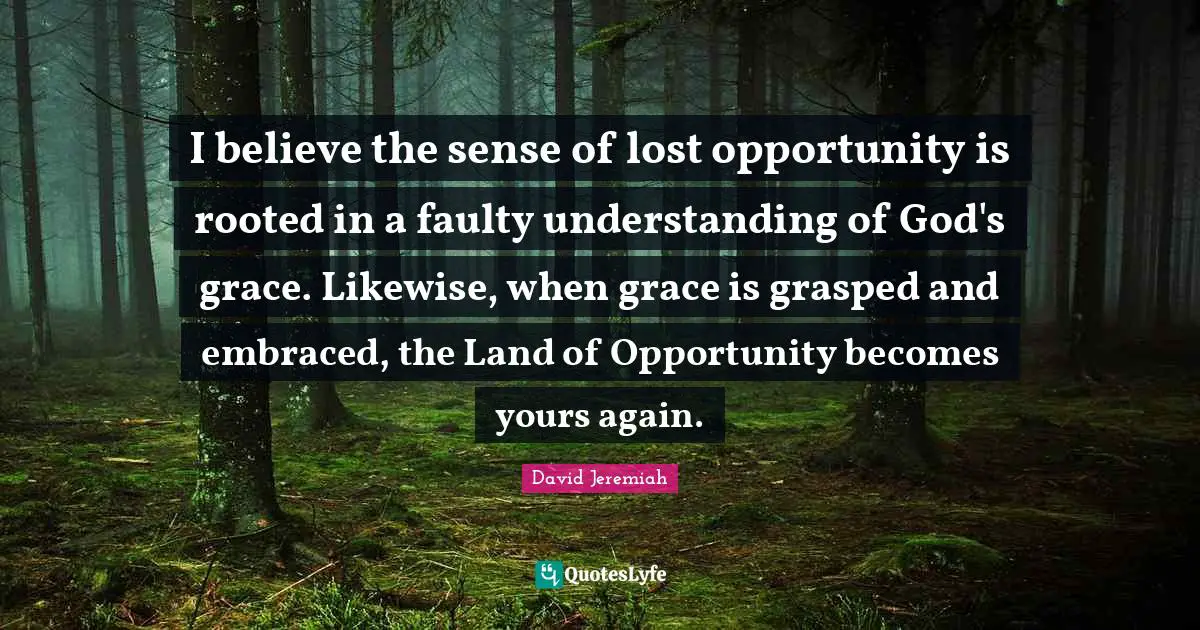 I believe the sense of lost opportunity is rooted in a faulty understanding of God's grace. Likewise, when grace is grasped and embraced, the Land of Opportunity becomes yours again.