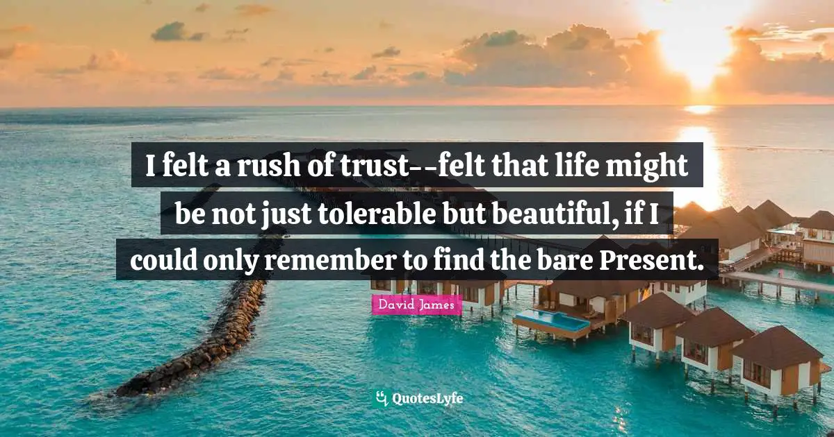 I felt a rush of trust--felt that life might be not just tolerable but beautiful, if I could only remember to find the bare Present.