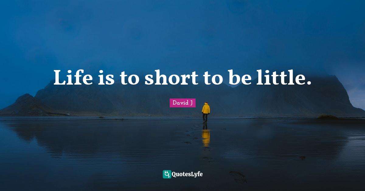 David J Quotes: "Life is to short to be little."
