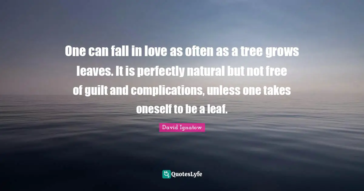 One can fall in love as often as a tree grows leaves. It is perfectly natural but not free of guilt and complications, unless one takes oneself to be a leaf.