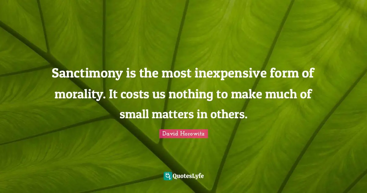Sanctimony is the most inexpensive form of morality. It costs us nothing to make much of small matters in others.