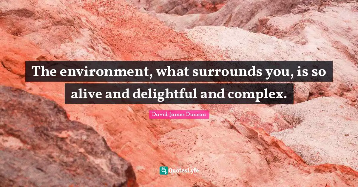 The environment, what surrounds you, is so alive and delightful and complex.