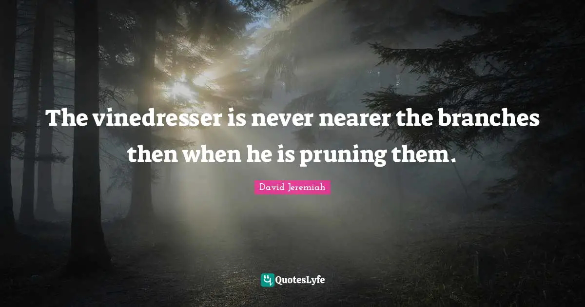 The vinedresser is never nearer the branches then when he is pruning them.
