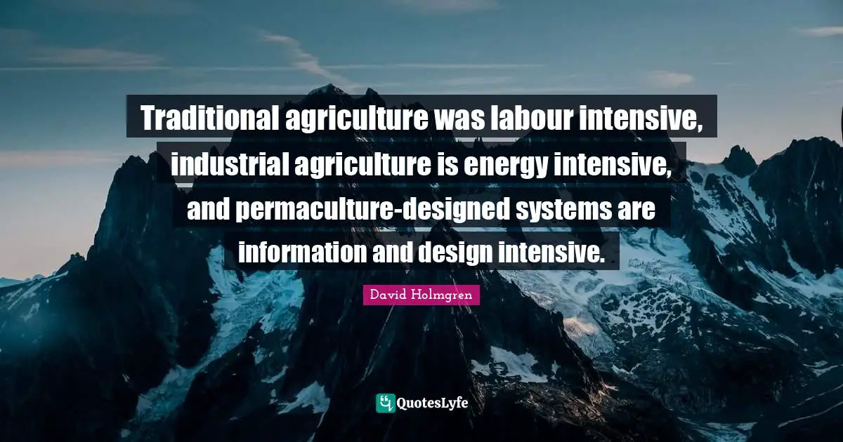 Traditional agriculture was labour intensive, industrial agriculture is energy intensive, and permaculture-designed systems are information and design intensive.