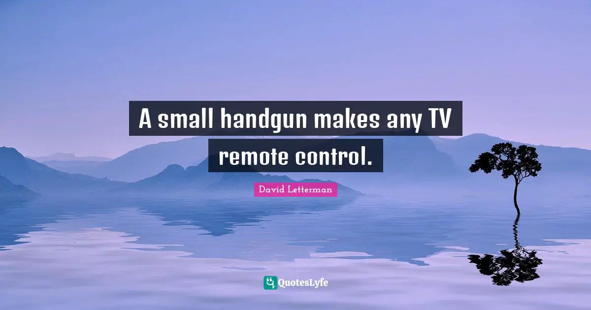A small handgun makes any TV remote control.
