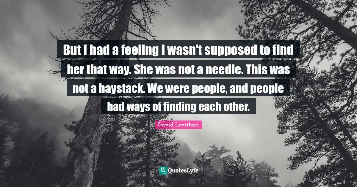 But I had a feeling I wasn't supposed to find her that way. She was not a needle. This was not a haystack. We were people, and people had ways of finding each other.