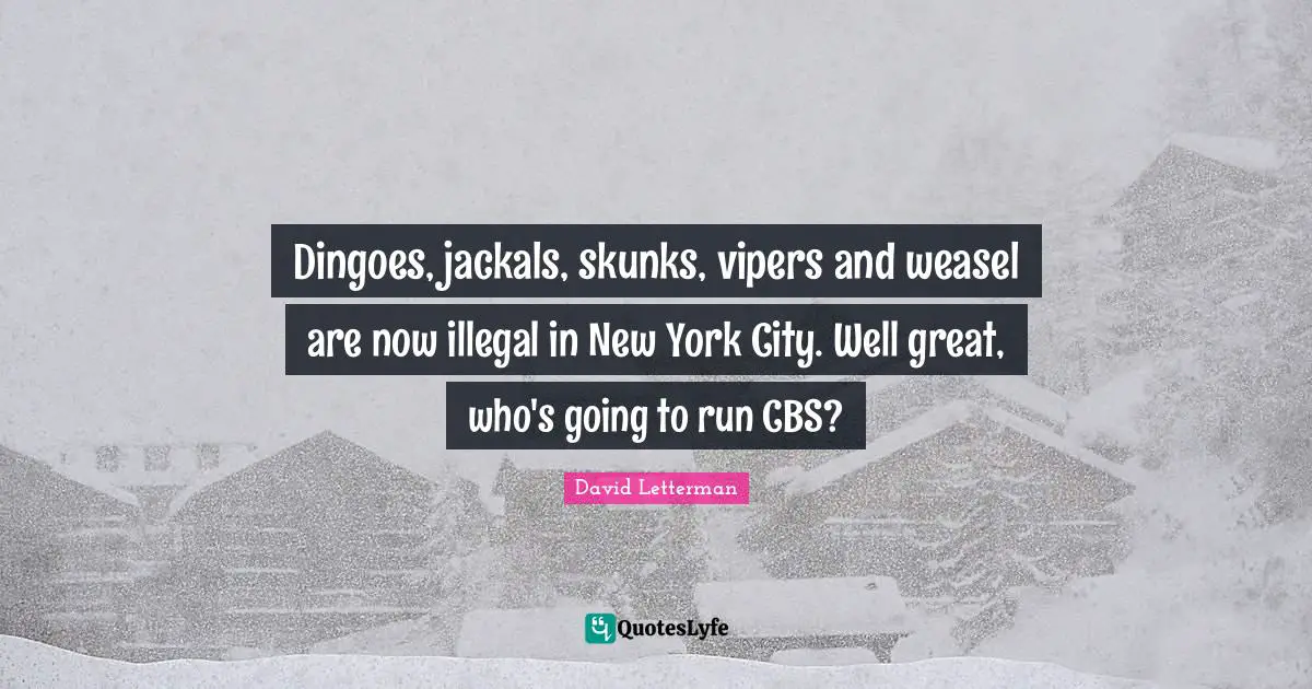 Dingoes, jackals, skunks, vipers and weasel are now illegal in New York City. Well great, who's going to run CBS?