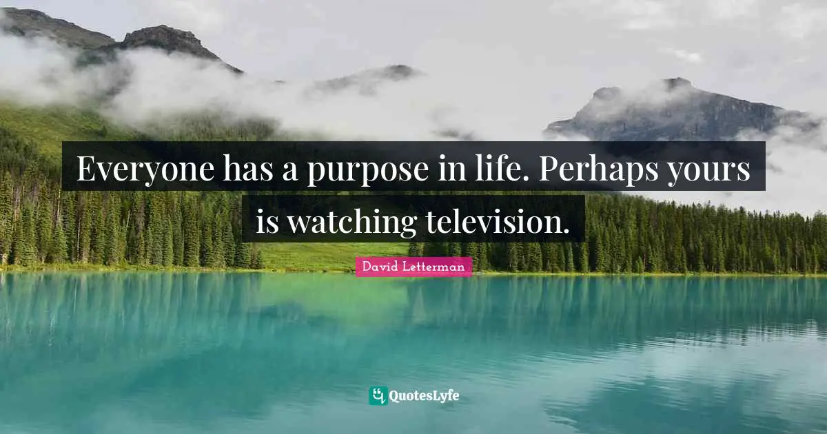 Everyone has a purpose in life. Perhaps yours is watching television.